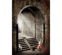 YongFoto 2x3m Sfondo Scena del giardino Pietra Arco Scala Fiori Incantato Violino Misterioso Castello della Principessa Sfondo per il matrimonio Festa dei vampiri Adulti Bambini Ritratto Sfondo