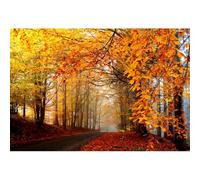 YongFoto 3,5x2,5m Città di Natale Fondali per la fotografia Percorso attraverso le foglie rosse Boschi nebbiosi Tardo autunno Natura Paesaggio Sfondo Scenario all'aperto Tema Accessori fotografici