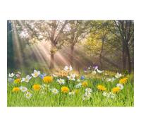 YongFoto 3,5x2,5m Vinile Sfondo Fotografico Fiori primaverili bianchi e gialli Campo derba Alberi Sunshine Nature Fondale Foto Festa Bambini Boby Nozze Partito Studio Fotografico Puntelli