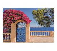 YongFoto 3,5x2,5m Vinile Sfondo Fotografico Vista idilliaca ai fiori rossi della costa del mar Mediterraneo Fondale Foto Festa Bambini Boby Partito Studio Fotografico Puntelli