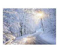 YongFoto 3x2,5m Bianco Winter Wonderland Fotografia Sfondo Neve Rami Luce solare Percorso Foresta Natura Paesaggio Sfondo Natale Festa in famiglia Decor Ritratti Puntelli per foto Vinile