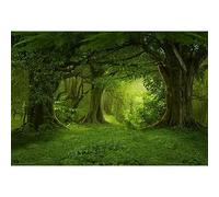 YongFoto 3x2,5m Vinile fondali fotografici Fantasia Giungle della foresta Vecchi alberi verdi Filiali Natura dell'erba Sfondo foto Studio Fotografico nozze Fondale foto Accessori carta da parati