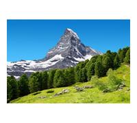 YongFoto 3x2,5m Vinile Sfondo Fotografico Montagna Natura Paesaggio Campo derba Fondale Foto Festa Bambini Boby Partito Studio Fotografico Puntelli