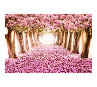 YongFoto 3x2,5m Vinile Sfondo Fotografico Petalo che cade romantico Tunnel fiore rosa alberi Fondale Foto Festa Bambini Boby Nozze Adulto Partito Studio Fotografico Puntelli