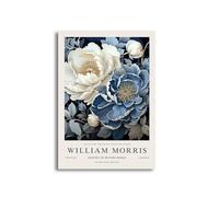 YONGKUIQMK Stampe su tela con stampe di animali, colibrì e pavoni di William Morris, poster floreali for l'arredamento del soggiorno.(CT10417-6,40X50cm No Frame)