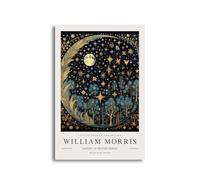 YONGKUIQMK Stampe su tela con stampe di animali, colibrì e pavoni di William Morris, poster floreali for l'arredamento del soggiorno.(CT10417-10,40X50cm No Frame)