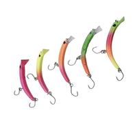 Yongmcxhhj Esche Dure - 5 Pezzi a Lento Affondamento Forma ad - Esca Portatile per Spigole | per Pescatori, Uomini, Padri, Mariti in Mare, Lago, Fiume