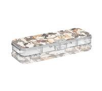 Yoogain Portapenne in plastica trasparente a due piani con gatto pirati retrò cartone animato custodia rigida per forniture artistiche con scatto e coperchio