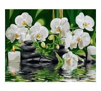 Yoonqun Dipingi con i Numeri per Adulti,Pietra orchidea bianca DIY Paint by Numbers Kits,Kit di Pittura a Olio su Tela per Bambini con Pennelli e Acrilica Regalo per Decor Casa - con cornice,60x75cm