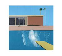 Yooyu Wall Art David Hockney Bigger Splash Poster E Stampe su Tela Pittura Decorazione della Casa Picture for Living Room Decor 50x50 cm Senza Cornice
