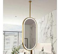 Yopappol Grande specchio da parete decorativo ovale, specchio da bagno a LED con braccio montato a soffitto, specchi da toeletta con controllo touch screen e cornice dorata(40cmx70cm)