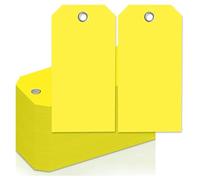 Yopeissn Etichette per Spedizione al Neon da 4 3/4 Pollici X 2 3/8 Pollici Etichette per Appendere Pesanti Vuote con Fori Rinforzati Etichette per Bagagli Scrivibili, Facili da Usare B
