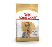 Yorkshire Terrier Adult - 1,50KG