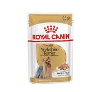 Yorkshire Terrier Adult - 85GR