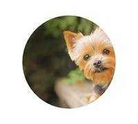 Yorkshire Terrier Bokeh Cani Carini da Parete, Calamite da Frigorifero in Acrilico, Adesivi per Lavagna Bianca per Decorazione di Cucina e Mobili,Forma rotonda