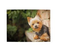 Yorkshire Terrier Bokeh Cani Carini da Parete, Puzzle da 500 Pezzi per Adulti - Puzzle in Legno per Adulti Anziani