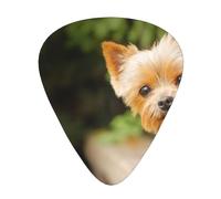 Yorkshire Terrier Bokeh Cani Carini Muro,12 pezzi di plettri per chitarra, 3 plettri di diverso spessore per chitarra acustica, basso, ukulele