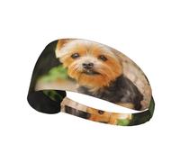 Yorkshire Terrier Bokeh Cani Carini Muro,Fascia elastica per capelli multiuso unisex, fascia antisudore sportiva