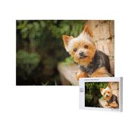 Yorkshire Terrier Bokeh Cani Carini Muro,Puzzle in legno da 1000 pezzi per famiglie, puzzle per adulti e adolescenti
