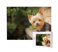 Yorkshire Terrier Bokeh Cani Carini Muro,Puzzle in legno da 500 pezzi, gioco di famiglia, puzzle per adulti e adolescenti, decorazioni per la casa