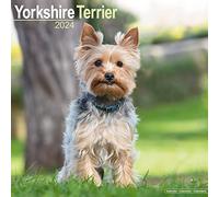 Yorkshire Terrier Calendar 2024 | Square Dog Breed Wall Calendar - 16 Month