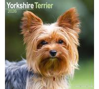 YORKSHIRE TERRIER - Calendario Da Parete 2026 - Nuovo Di Zecca - 07008