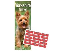 Yorkshire Terrier Calendario Slim 2026 | Cane razza Slimline Calendario | 12 mesi | con adesivi organizzativi