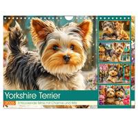 Yorkshire Terrier. Entzückende Minis mit Charme und Witz (Wandkalender 2026 DIN A4 quer), CALVENDO Monatskalender: Süße Yorkshire Terrier in liebevollen, witzigen und abenteuerlichen Momenten