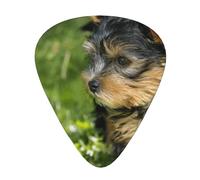 Yorkshire Terrier Erba Verde Cani Carini,12 pezzi di plettri per chitarra, 3 plettri di diverso spessore per chitarra acustica, basso, ukulele