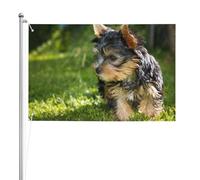 Yorkshire Terrier Erba Verde Cani Carini,Bandiera da giardino, bandiera decorativa da cortile, bandiera bifacciale, 2x3 piedi, per esterni e interni
