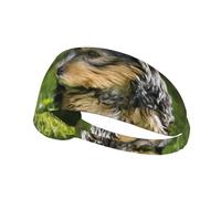 Yorkshire Terrier Erba Verde Cani Carini,Fascia elastica per capelli multiuso unisex, fascia antisudore sportiva