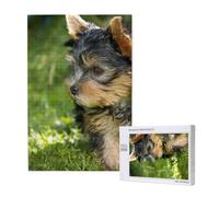 Yorkshire Terrier Erba Verde Cani Carini,Puzzle in legno da 1000 pezzi per adulti e adolescenti