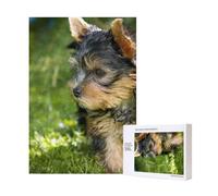 Yorkshire Terrier Erba Verde Cani Carini,Puzzle in legno da 300 pezzi per adulti e adolescenti