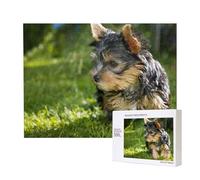 Yorkshire Terrier Erba Verde Cani Carini,Puzzle in legno da 500 pezzi, gioco di famiglia, puzzle per adulti e adolescenti, decorazioni per la casa