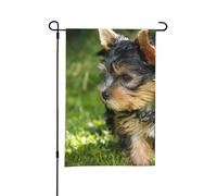 Yorkshire Terrier, erba verde, simpatici cani, bandiera estiva da giardino, 12x18 pollici, doppia faccia, per esterni