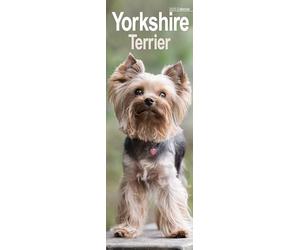 Yorkshire Terrier Slim 2025 Slimline Wall Calendar | Dog Breed Calendar