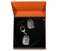 Yorkshire Terrier Tipo 2 - Set - Il Cane IN Der Arance Scatola Art Dog