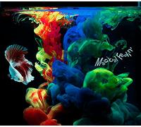 Yoru No Honki Dance - Magical Feelin'