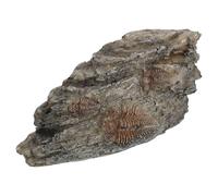 YOSADIER Decorazione in Resina per Terrario a Forma di Trilobite Design Realistico e Versatile per, per Rettili e Terrari di Insetti