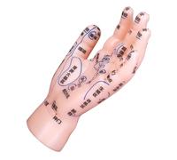 YOSADIER Didattico Riflessologia Manuale Acupoint per Insegnamento Della Facile per Principianti e Istituzioni Educative