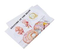 YOSADIER Poster Anatomia in Chiara e Dettagliata per Scuole Laboratori e Ospedali Materiale Resistente per Uso Prolungato