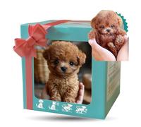 YOSEDVCB Nuovo Cane Robot AI 2025, Cane Robot AI Realistico, Cane Di Peluche Interattivo For Adulti, Che Si Comporta Come Un Vero Cucciolo: Cammina, Abbaia, Scodinzola(B#brown)