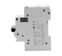 Yosoo 63A 250 V CC 2P Interruttore Automatico Miniaturizzato Sovraccarico Sezionatore Solare per Pannelli Solari a Rete Ibrido Solare Eolico, Facile Usare, Facile Installare, Ampiamente (16A)