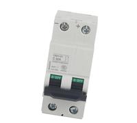 Yosoo 63A 250 V CC 2P Interruttore Automatico Miniaturizzato Sovraccarico Sezionatore Solare per Pannelli Solari a Rete Ibrido Solare Eolico, Facile Usare, Facile Installare, Ampiamente (32A)