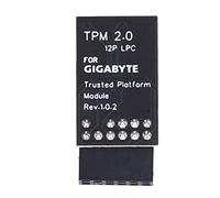 Yosoo Health Gear Modulo TPM 2.0, LPC SPI Scheda di sicurezza scheda madre a 12 pin con supporto di crittografia