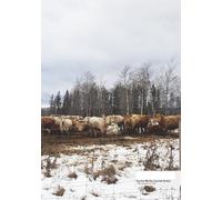 You Are Worthy (Journal Series) - “All Animals Are His”