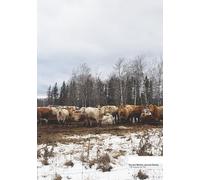 You Are Worthy (Journal Series) - “All Animals Are His”