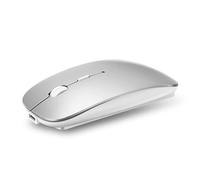YOU GLOW GIRL Mouse Bluetooth,Mouse ottico USB ricaricabile,(Bluetooth 5.0 e 2.4G) Dual Mode Computer Mouse per laptop/PC/Mac/iPad pro/Computer (argentato)