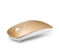 YOU GLOW GIRL Mouse Bluetooth,Mouse ottico USB ricaricabile,(Bluetooth 5.0 e 2.4G) Dual Mode Computer Mouse per laptop/PC/Mac/iPad pro/Computer (oro)