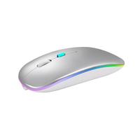 YOU GLOW GIRL Mouse Bluetooth, Mouse ottico USB ricaricabile, (Bluetooth 5.2 e 2.4G) Dual Mode Computer Mouse per laptop, computer desktop, iPad Tablet, telefono, TV (argentato)